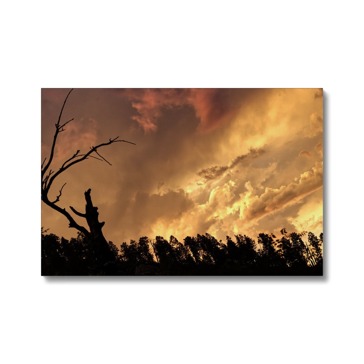 Tilted World Eco Canvas