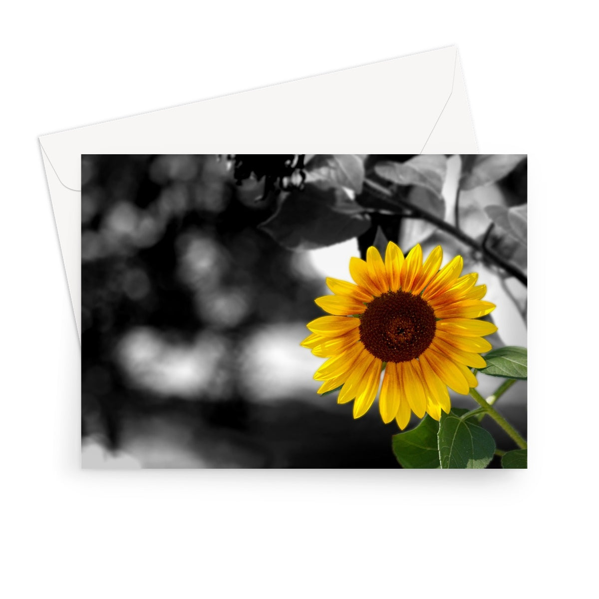 Sunflower Alone Greeting Card