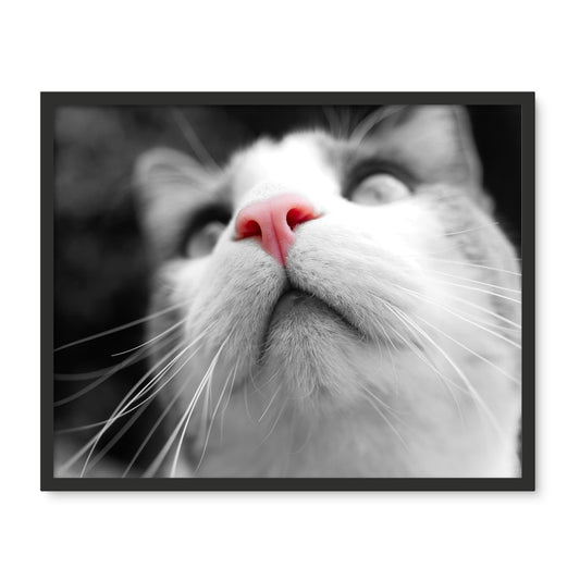 Pink Noses Framed Photo Tile