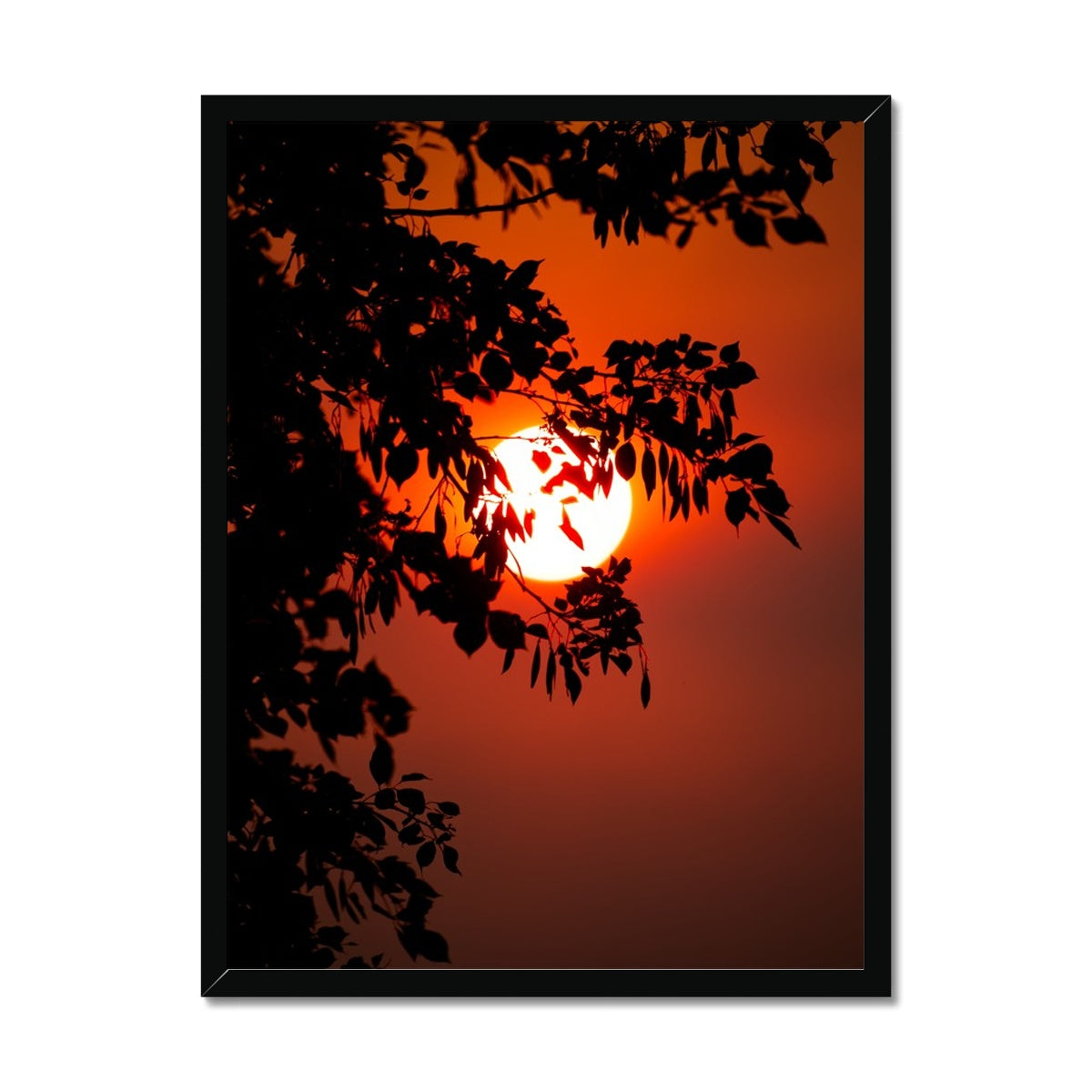 Fuoco Nel Cielo Framed Print