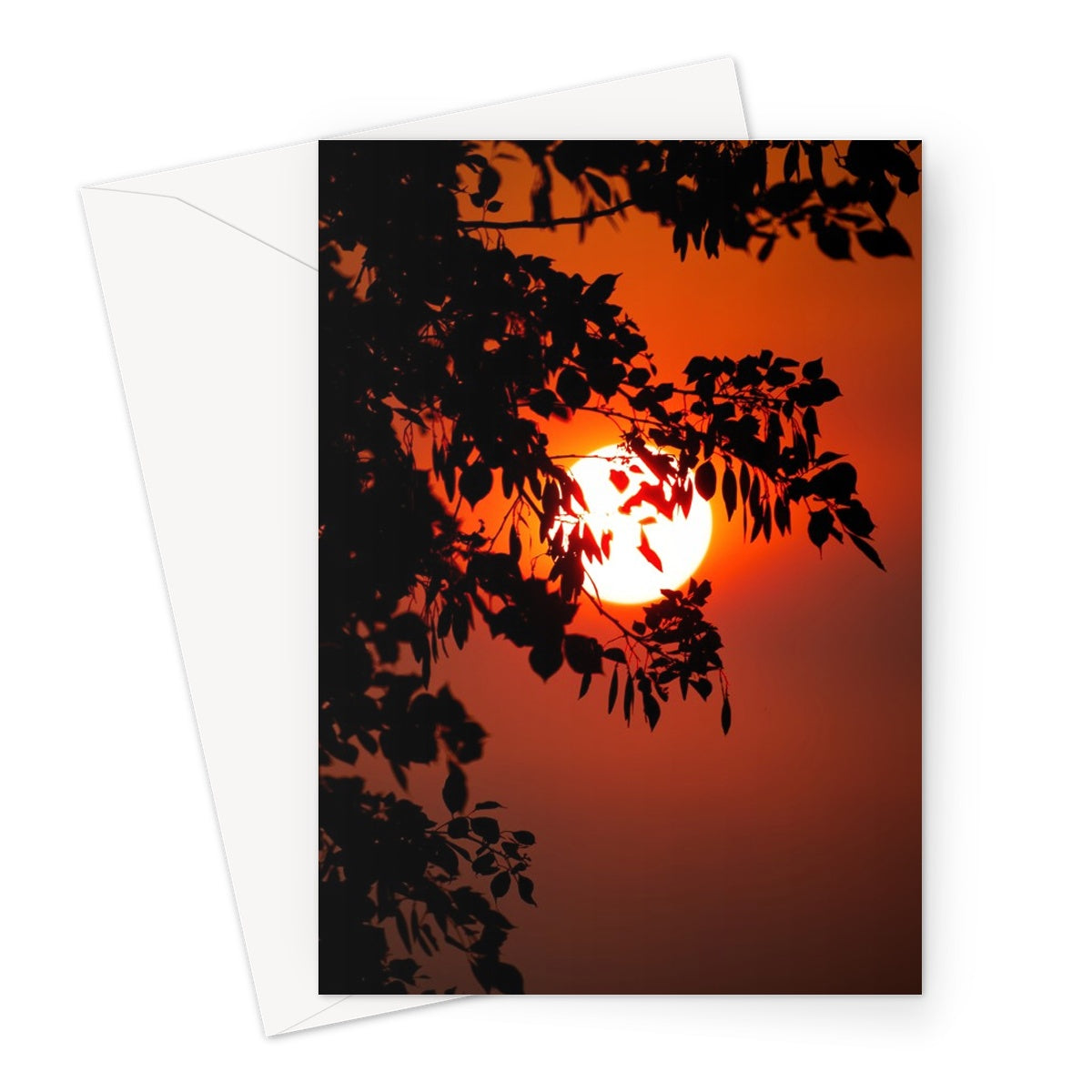 Fuoco Nel Cielo Greeting Card