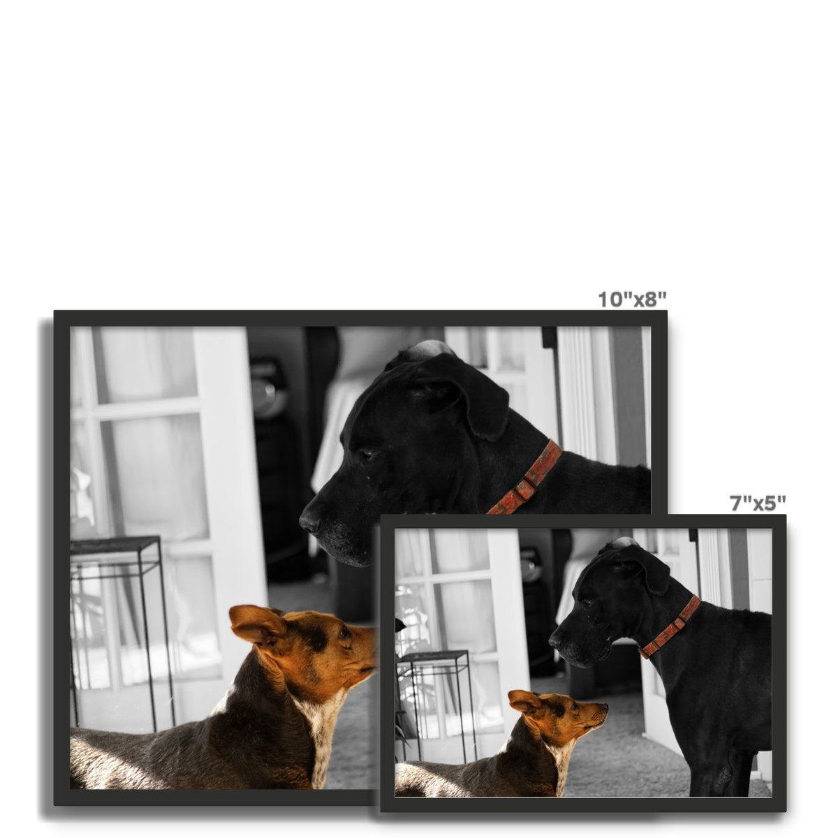 When I Move, You Move Framed Photo Tile