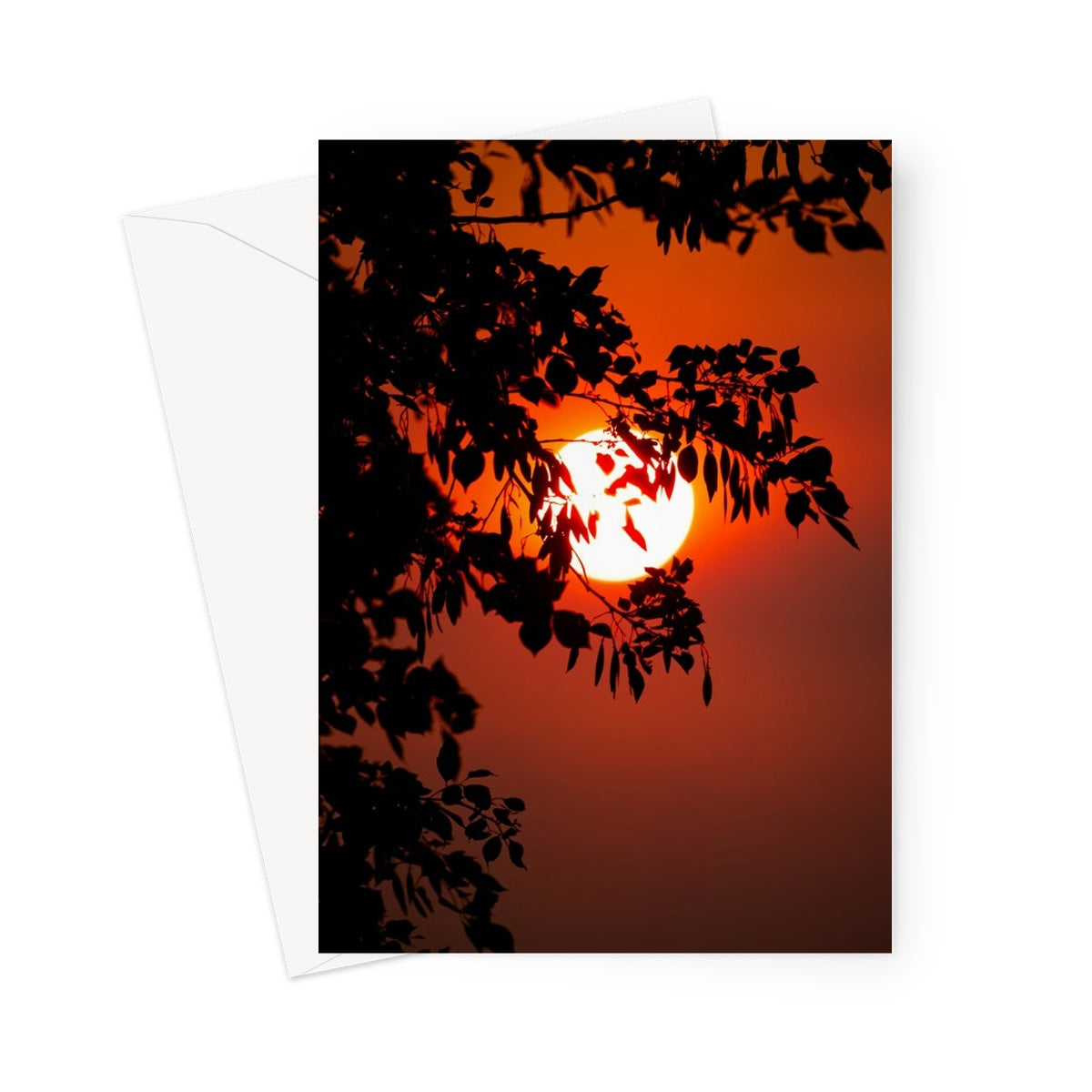 Fuoco Nel Cielo Greeting Card