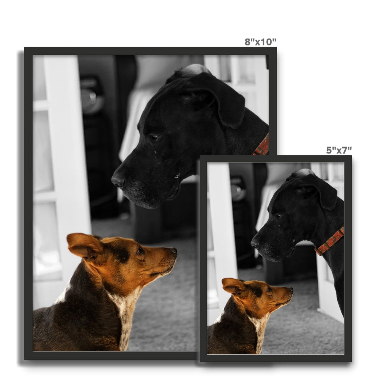 When I Move, You Move Framed Photo Tile