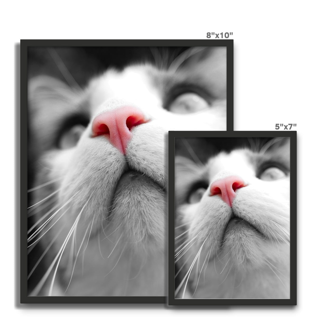 Pink Noses Framed Photo Tile