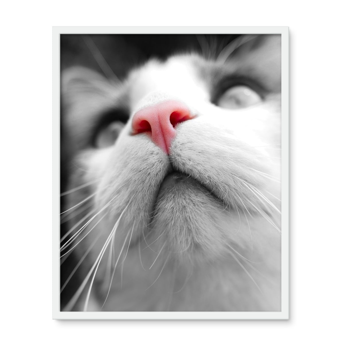 Pink Noses Framed Photo Tile