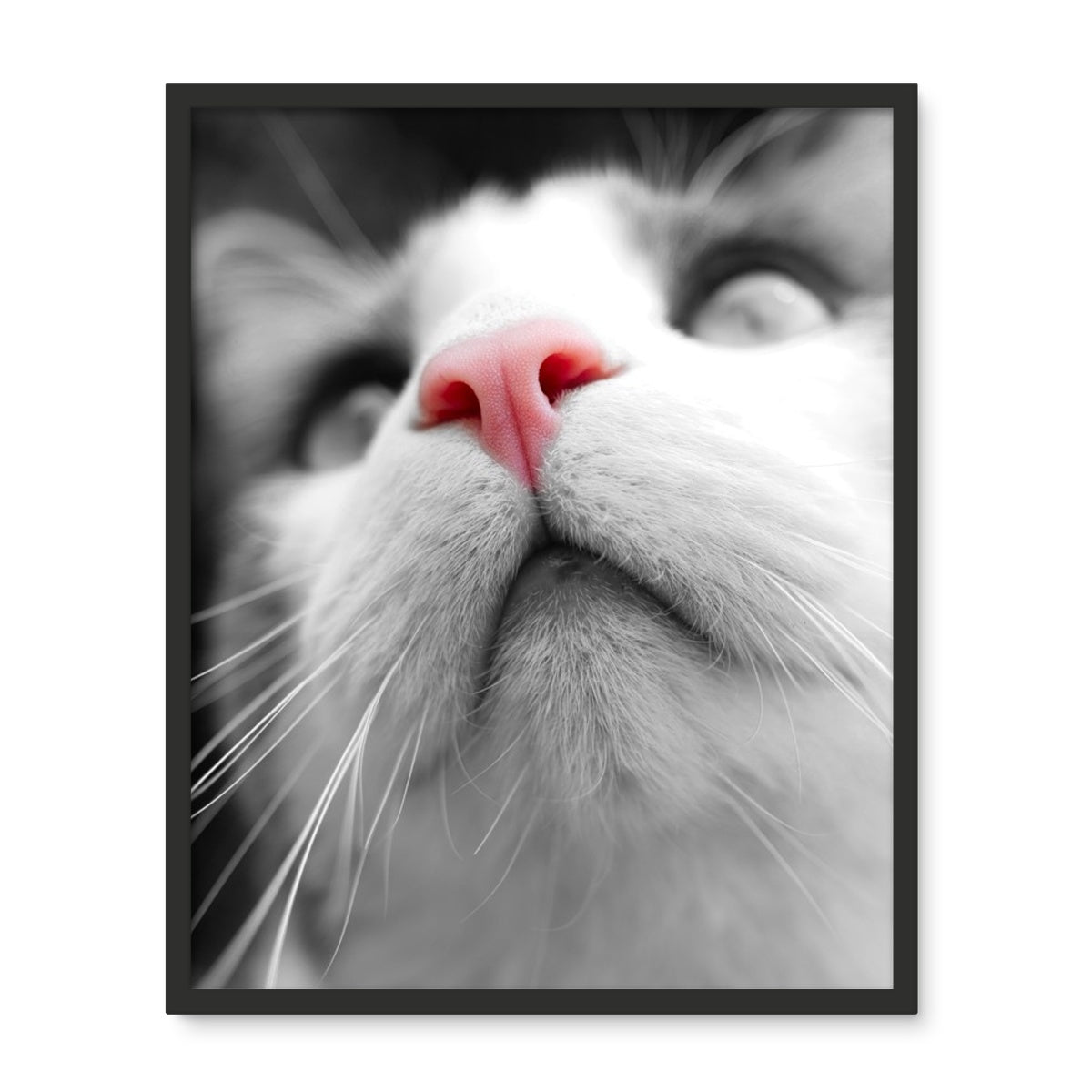 Pink Noses Framed Photo Tile