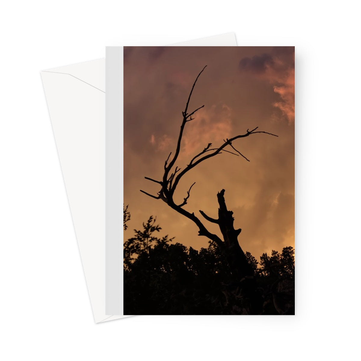 Tilted World Greeting Card