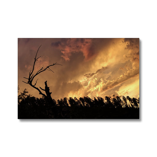 Tilted World Eco Canvas