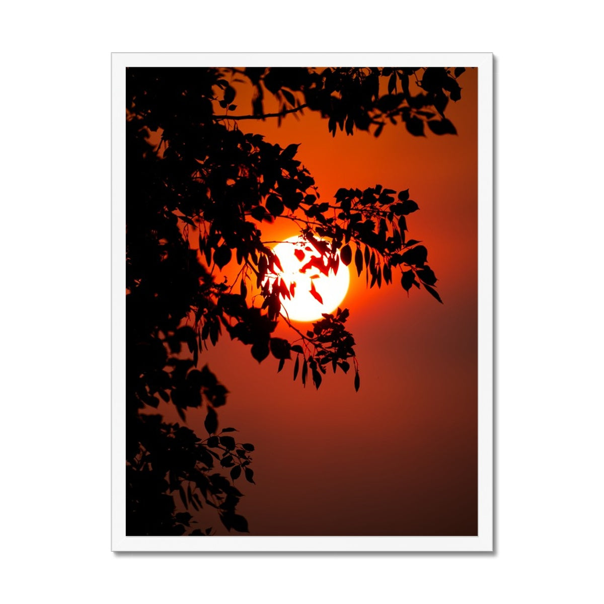 Fuoco Nel Cielo Framed Print