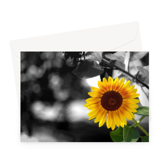 Sunflower Alone Greeting Card